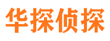 龙山找人公司